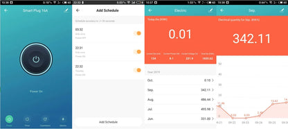 WiFi Power Socket | Power Meter Socket | FlourishRealm