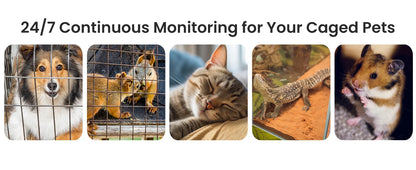 Mini Wifi Camera | Wifi Security Camera | FlourishRealm