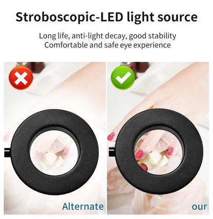 LED Desk Lamp | Clip on Desk Lamp | FlourishRealm