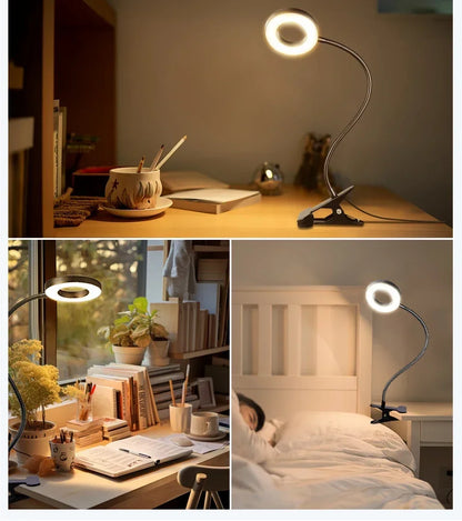 LED Desk Lamp | Clip on Desk Lamp | FlourishRealm