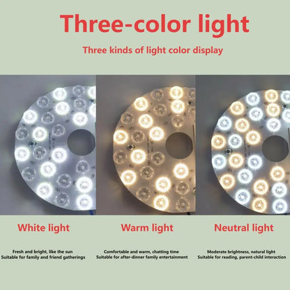 FlourishRealm™Panel Lights