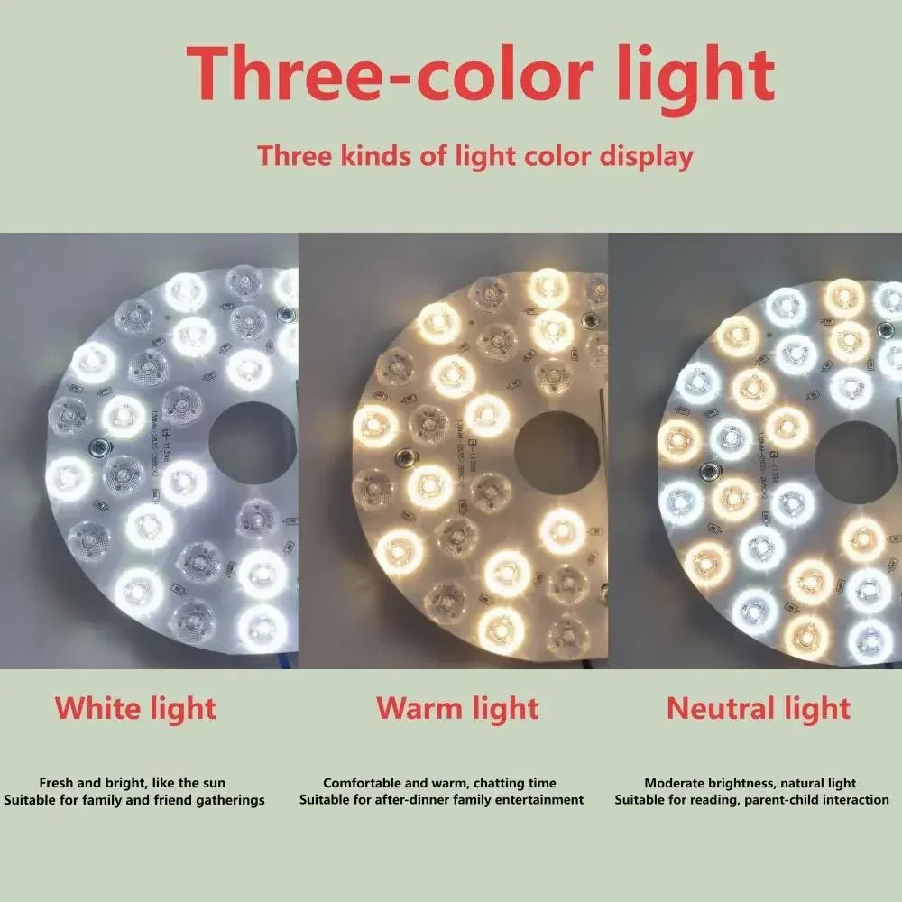 FlourishRealm™Panel Lights