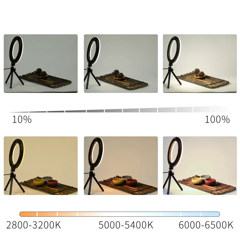 FlourishRealm™Video Light Panel