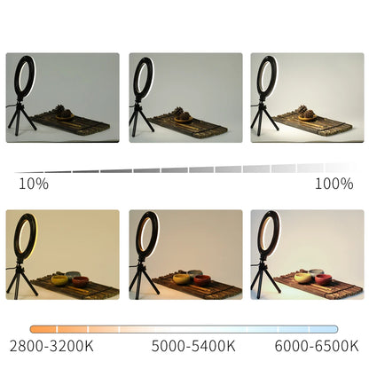 FlourishRealm™Video Light Panel