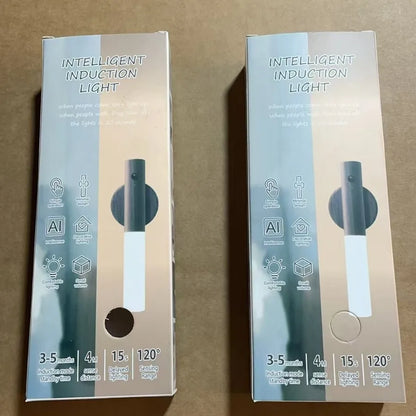 FlourishRealm™Motion Sensor Lighting